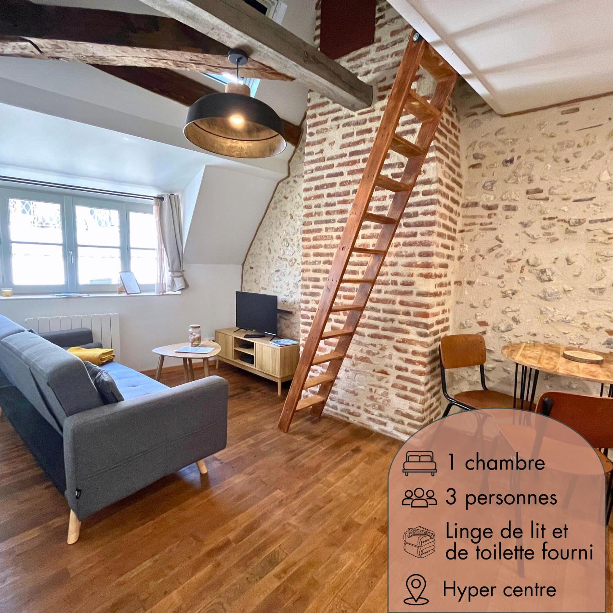 Le Duplex Saint Honore - Cosy En Hyper Centre De Appartement Blois